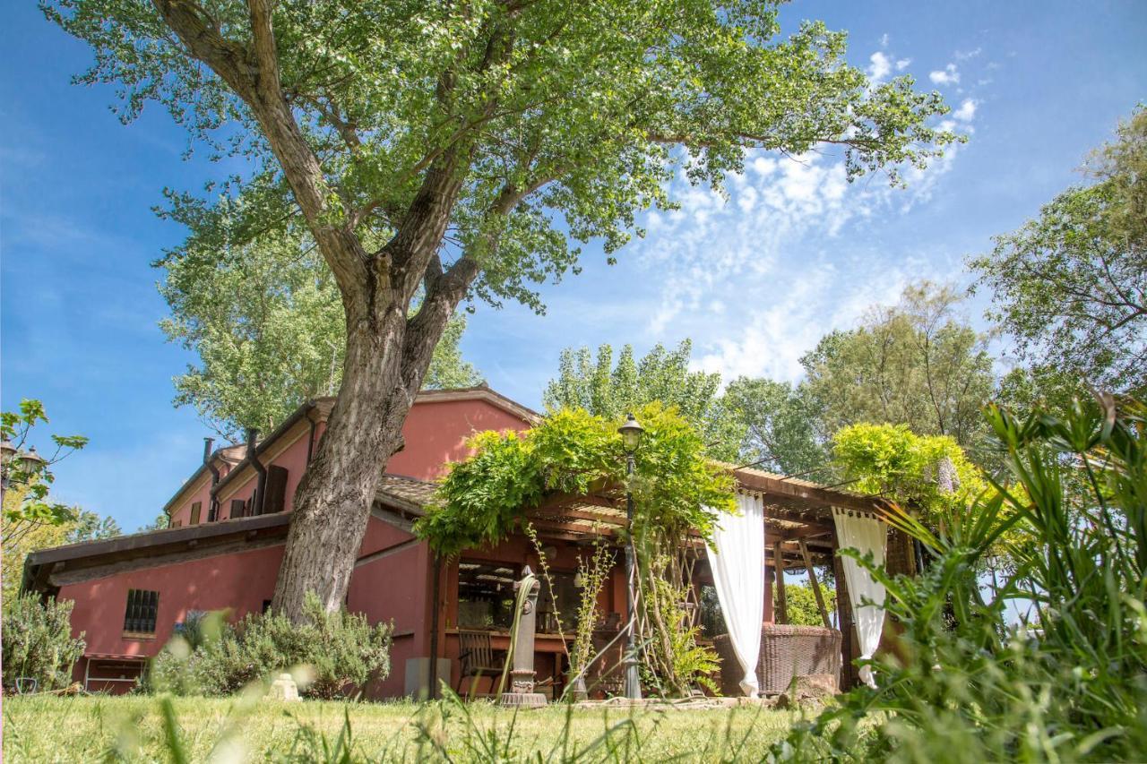 Ca' Barbona Bed and Breakfast Lido di Classe Εξωτερικό φωτογραφία