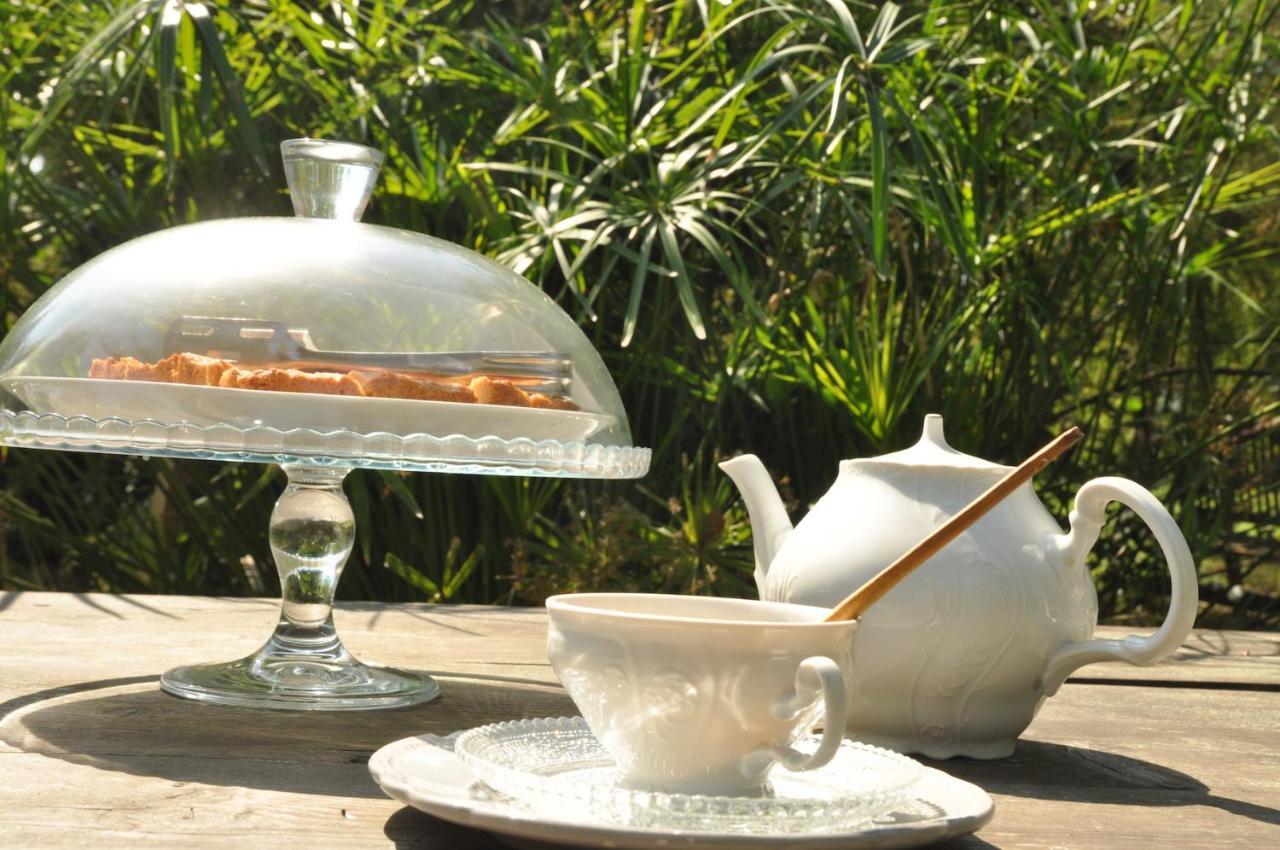 Ca' Barbona Bed and Breakfast Lido di Classe Εξωτερικό φωτογραφία