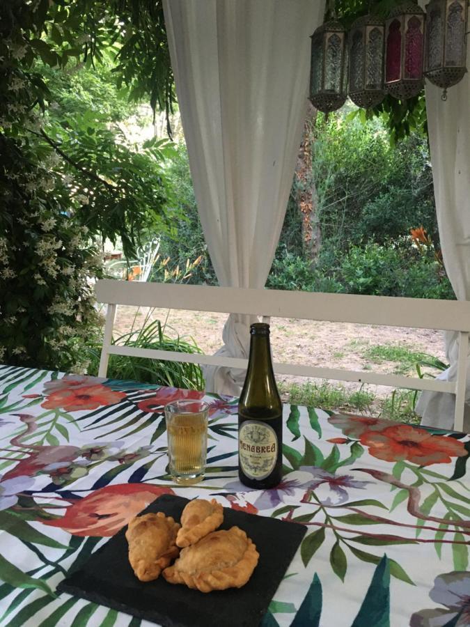 Ca' Barbona Bed and Breakfast Lido di Classe Εξωτερικό φωτογραφία